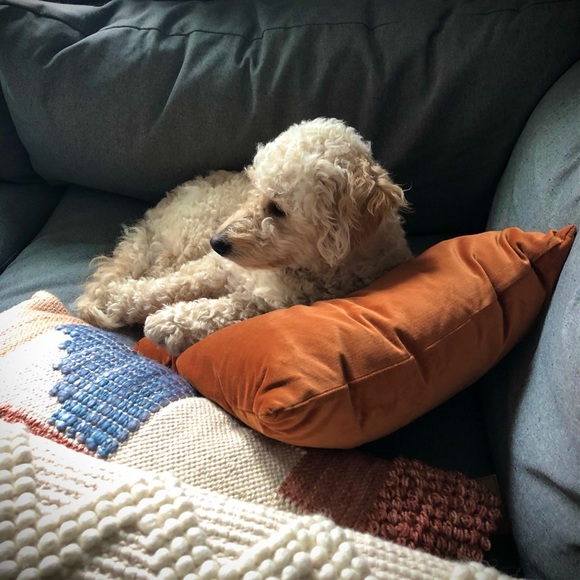 Meet your Posher, Kristin - Picture 7 of 11